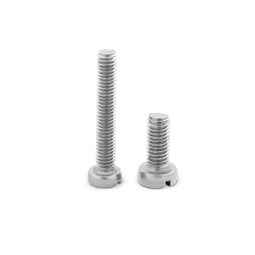 BS 450 Cheese Head screw
