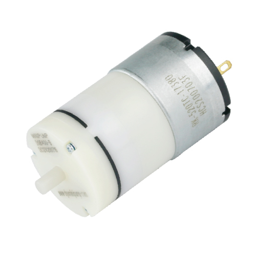 Micro Air Pump - Color: Silver And White