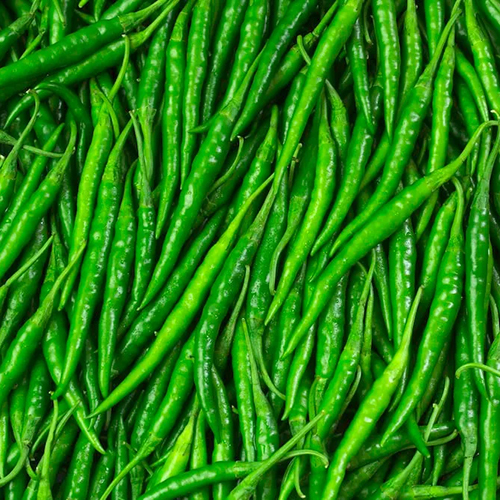 Fresh Green Chilli