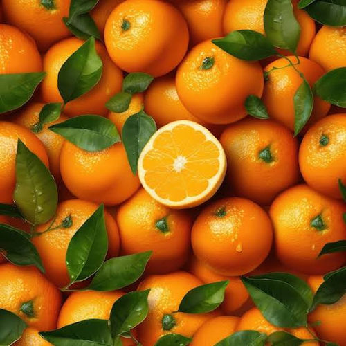 Fresh Orange - Cultivation Type: Common