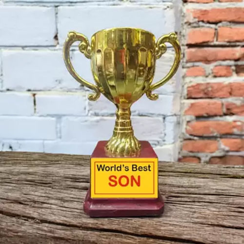 6.25 Inch Golden Trophy Cup For Worlds Best Son Trophy - Style: Artificial