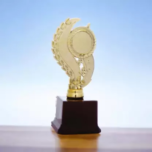 6.75 Inch Sports Competetion Trophy