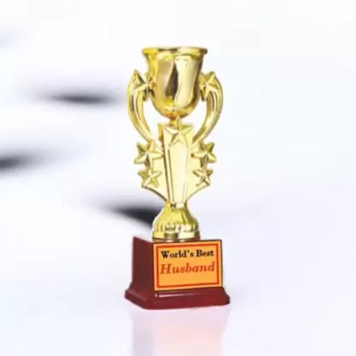 7.5 Inch Gift For Husband Trophy