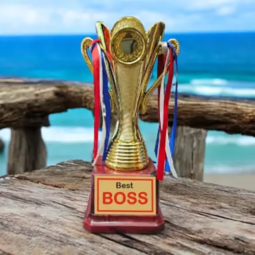 7.5 Inch Golden Trophy For Boss