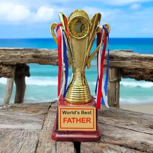 7.5 Inch Golden trophy For Father Trophy