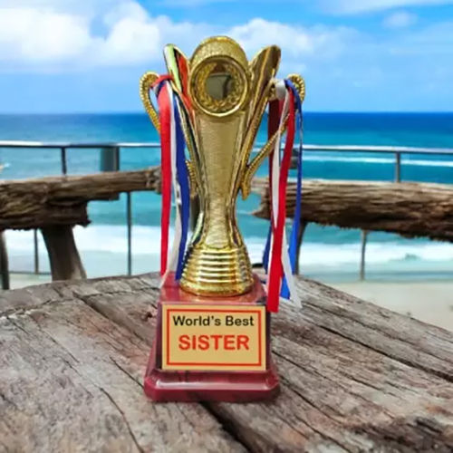 7.5 Inch Golden Trophy For Sister - Style: Artificial