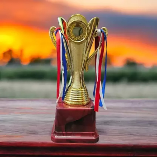 9.5 Inch Golden Trophy For Multiple Events