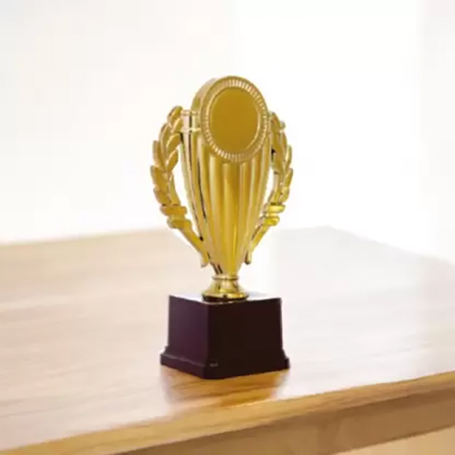 9.25 Inch Trophy For Party Celebrations