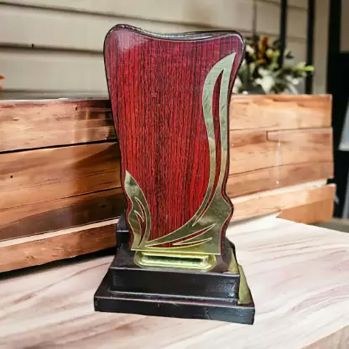 11.5 Inch Long Trophy Wooden Award Trophy