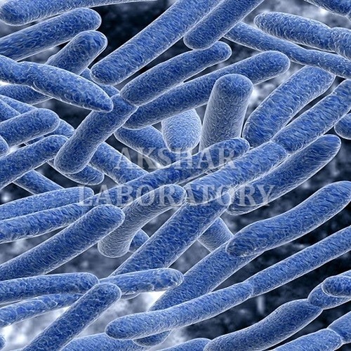 Bacteria Testing सेवाएं