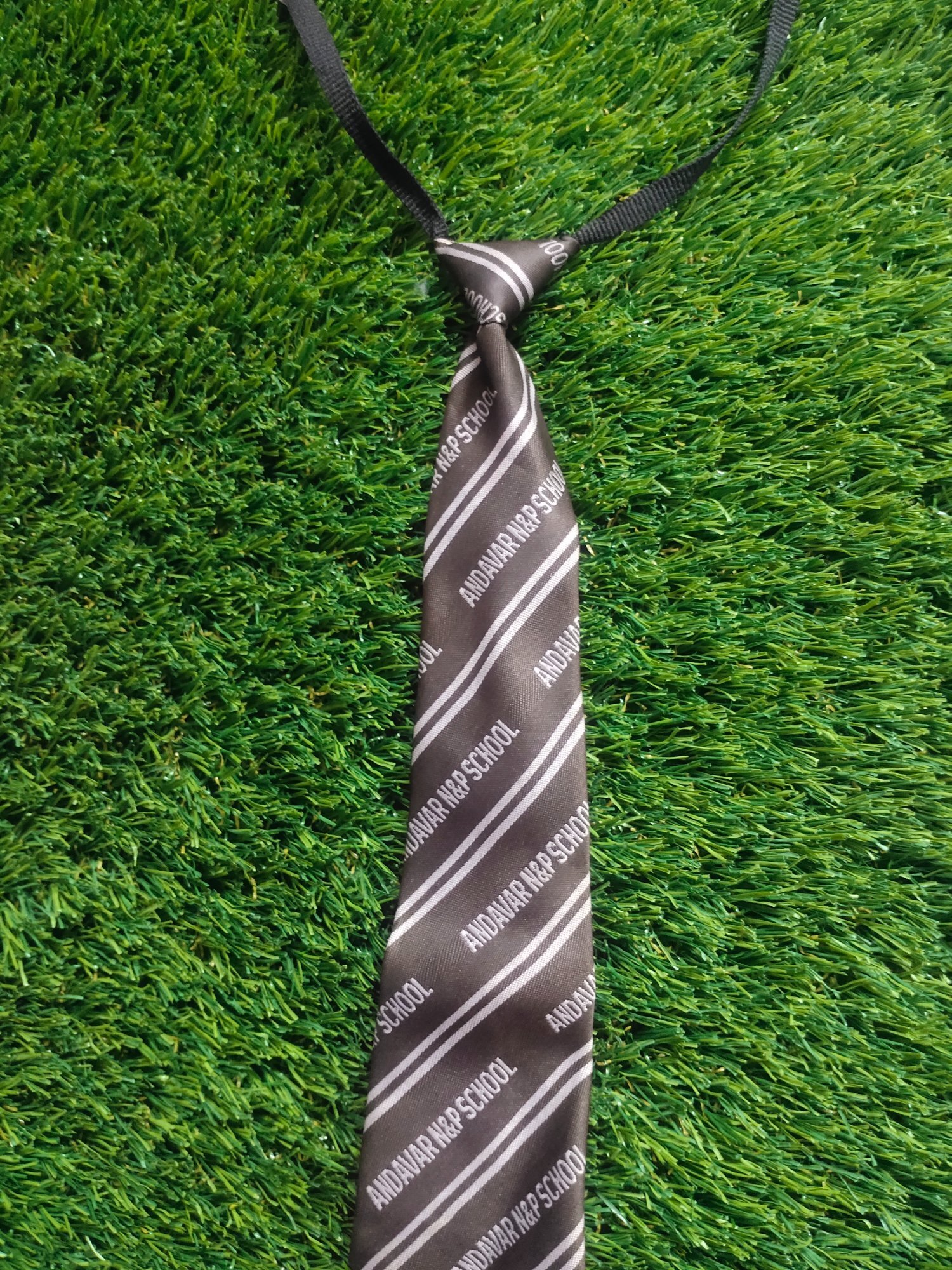 School Daily Wear Tie