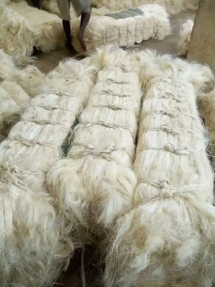Grade A Sisal Fibre for sale