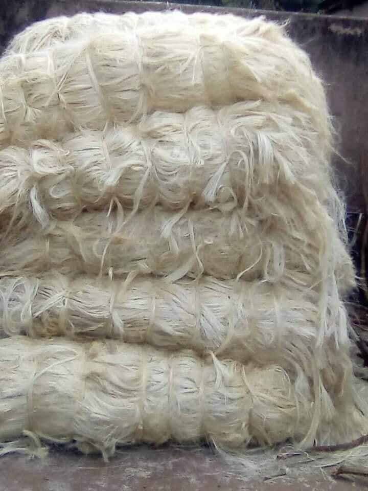 Grade A Sisal Fibre for sale