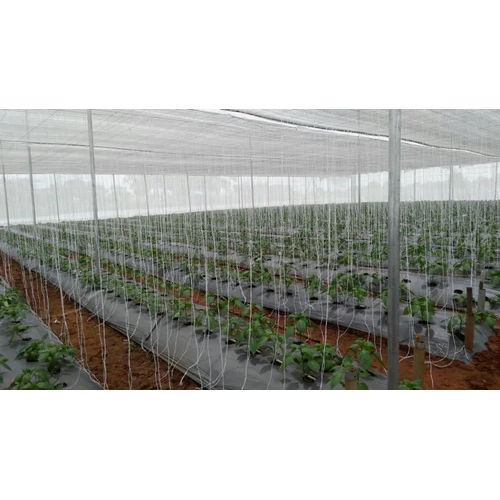 Commercial Green Houses