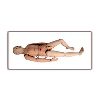 NS-6001- Multi-Functional Nursing Simulator (Male)