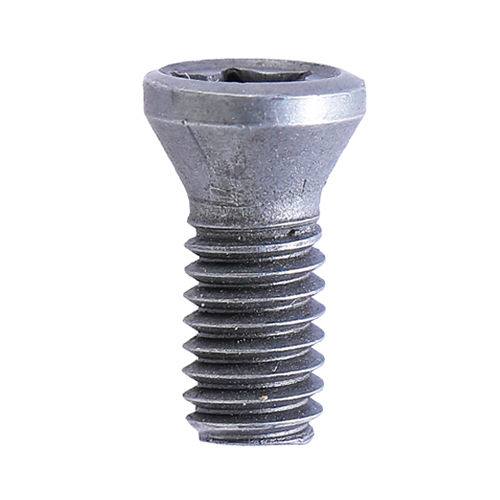 Torx Screw - Finish: Polished