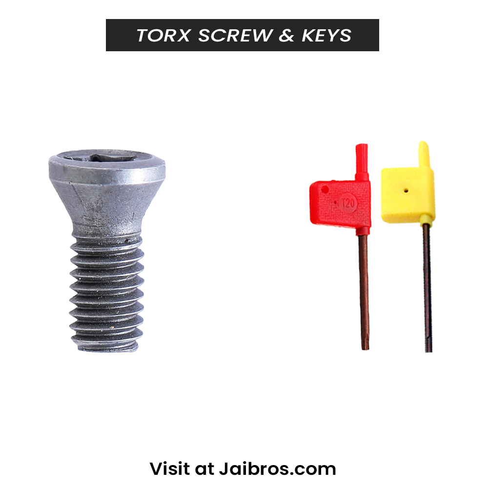 Torx Screw - Finish: Polished