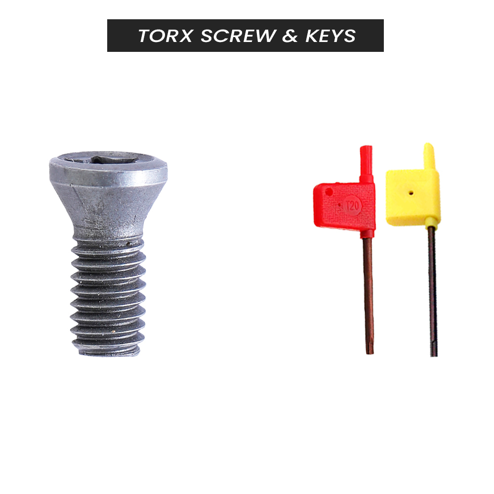 Torx Screw