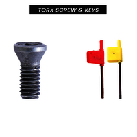 Torx Screw - Finish: Polished