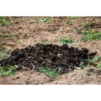 Bio Organic Manure