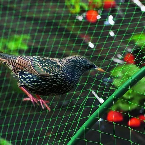 Polyester Anti Bird Net