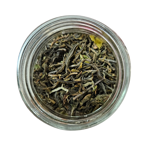 Bio Organic Darjeeling Tea