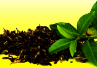 Nilgiri tea