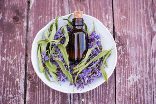 Lavender Patchouli Fragrance