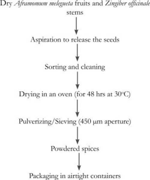 Nutmeg powder