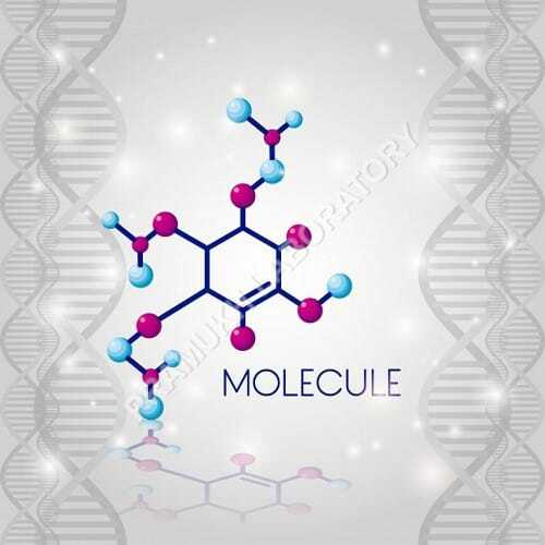 Wavelength Dispersive X Ray Fluorescence Spectrometry Testing Services