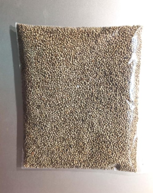 Perilla seeds