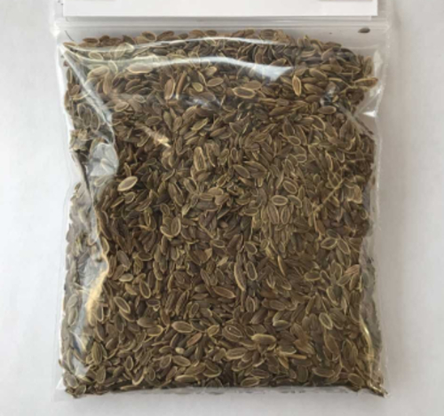 Dill seeds