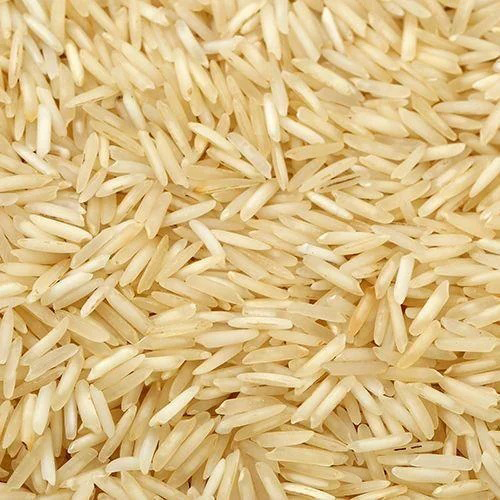 Fresh Basmati Rice