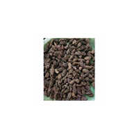 Black Cardamom