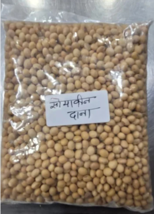 Soyabean seeds