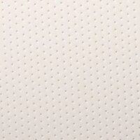 ASTER PVC LEATHER