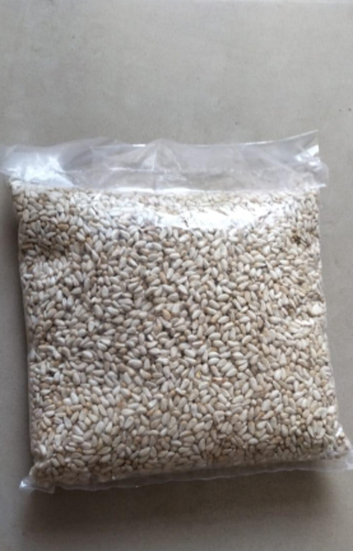 Sallflower seeds