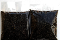 Niger seeds