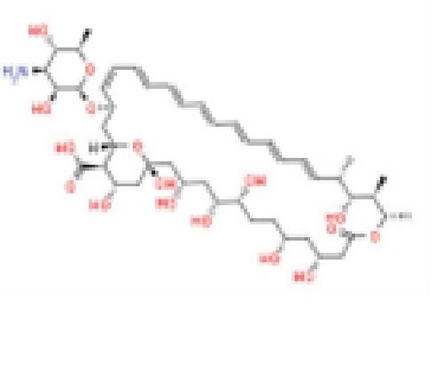 Amphotericin b