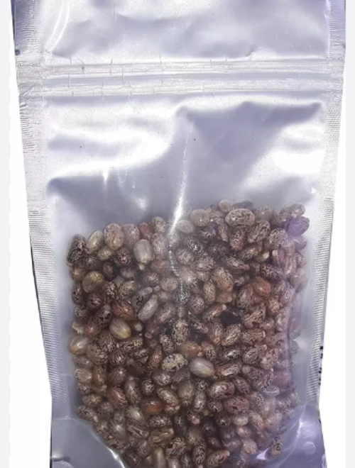 Castor seeds