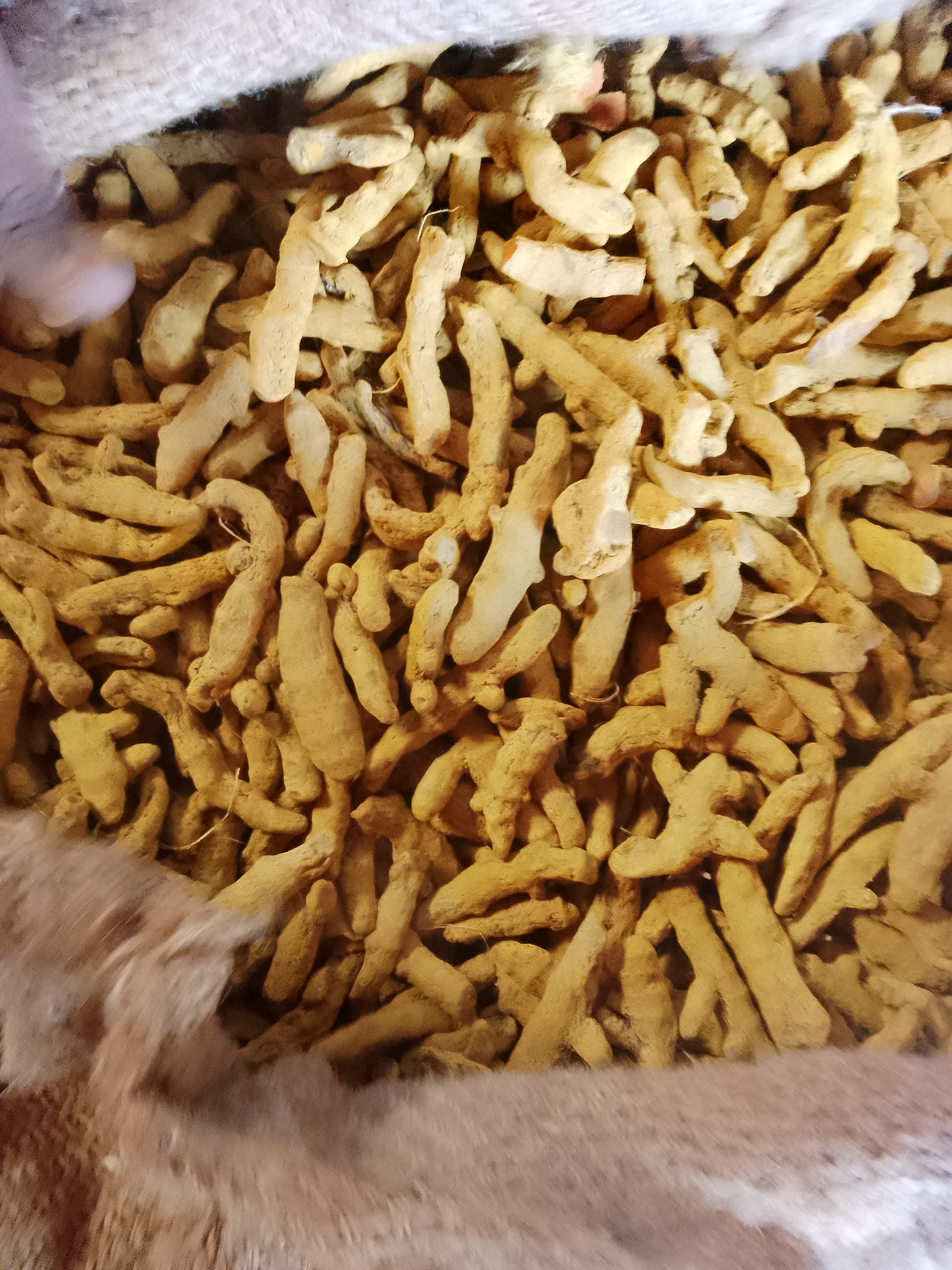 Organic Dried Turmeric Finger