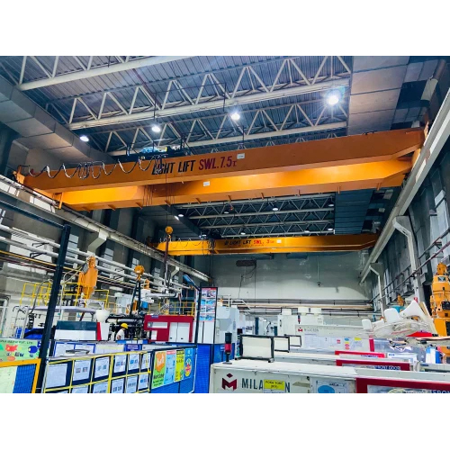 Double Girder EOT Cranes