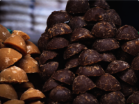 Toddy palm jaggery