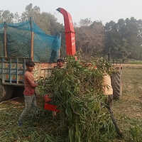 Pto Tractor Operated Wood Chipper