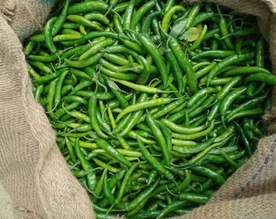 Fresh Green Chilli