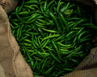 Fresh Green Chilli