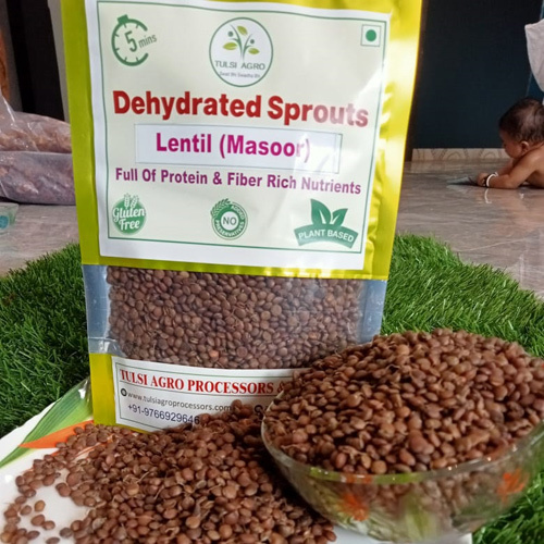 Lentil Masoor - Cultivation Type: Common