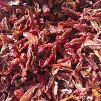 Sun Dried Tomatoes - Dehydration Method: Common