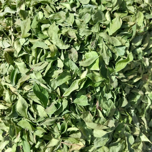 Dry Curry Leaves