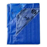 Blue Canvas Tarpaulin - Tent Style: Plain
